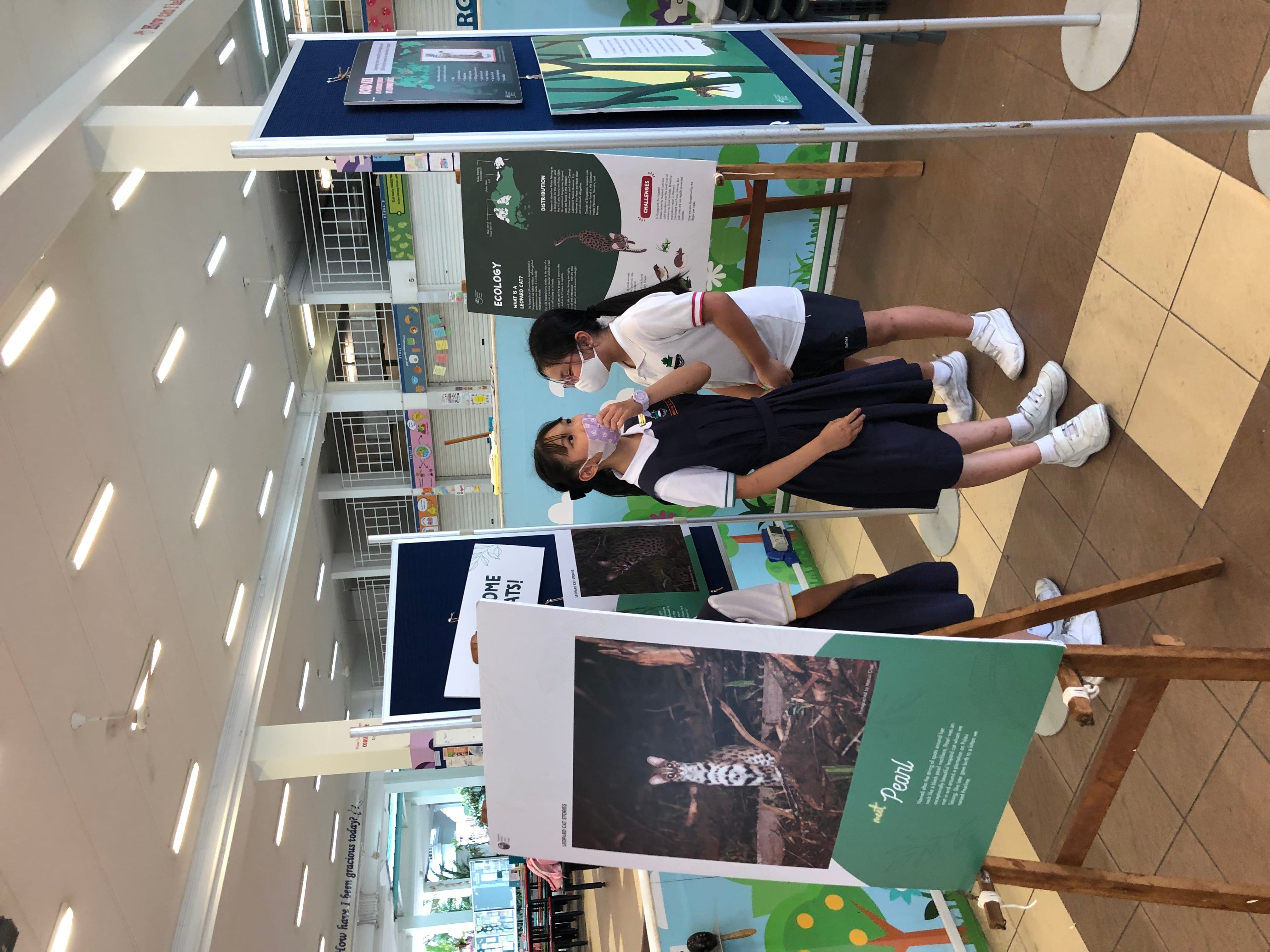 They are looking at the Leopard Cat exhibition, in collaboration with Singapore Wildcat Action Group.